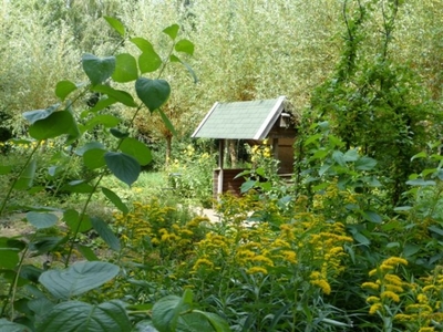 zonnevlecht tuin.jpg